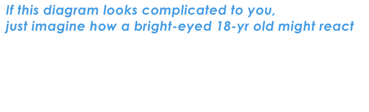 If this diagram looks complicated to you,
just imagine how a bright-eyed 18-yr old might react
Via a purposefully simple and familiar interface design, COcampus’ app will intuitively guide budding entrepreneurs through the 
                        ever-growing entrepreneurial support landscape

